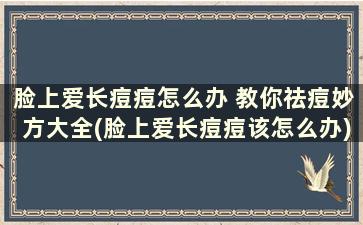 脸上爱长痘痘怎么办 教你祛痘妙方大全(脸上爱长痘痘该怎么办)